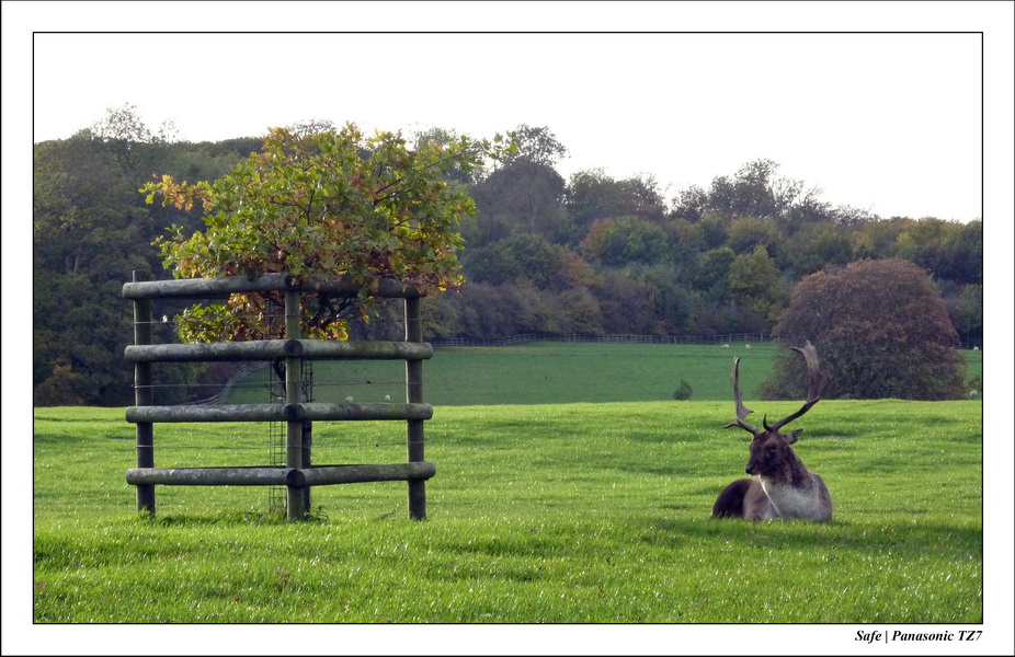 2010 - 10 - Stamford 34